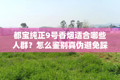 都宝纯正9号香烟适合哪些人群？怎么鉴别真伪避免踩坑？